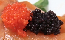 Buy Sushi Online :: Massago :: Flying Fish Caviar :: Tobikko Caviar :: Japanese Food