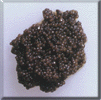 Imperial Black Caviar caviar, royal caviar, classic caviar, sturgeon caviar, paddlefish caviar, hackleback caviar, sturgeon, paddlefish, hackleback, salmon roe, ikura, Russian Caviar, Christmas gifts, Christmas gifts, Christmas gifts, Christmas gifts, Christmas gifts, Beluga, Osetra, Sevruga, Royal, bowfin, roe, red caviar, luxury, food, specialty food, gourmet, deli, wholesale, distribution, retail, affordable, caviar, california, worldwide, cheap caviar, domestic caviar, export, import,iran, caviar accessories, caviar dish, iranian caviar, beluga, osetra, servuga, caviar spoons, chicken egg, dish, gifts, iranian, mother of pearl spoons, server, spoon, storing, accessories, american, beluga, black sturgeon caviar, bowl, cataloguew, caviar, caviar server, caviar spon, champagne, combinations, crackers, crackersa, gift basket,iran caviar, iraniancaviar, kefir, malossol, mother of pearl, ossetra, pate, persian, plate, russian, serruga, servers, serving, sevruga, spoon&bowl, spoons, utensils, where to buy, caviar prices iran, caviar accessories, weddings, engagements, caviar dish, iranian caviar, beluga, osetra, servuga, caviar spoons, chicken egg, dish, gifts, iranian, mother of pearl spoons, server, spoon, storing, accessories, american, beluga, black sturgeon caviar, bowl, cataloguew, caviar, caviar server, caviar spon, champagne, combinations, crackers, crackersa, gift basket,iran caviar, iraniancaviar, kefir, malossol, mother of pearl, ossetra, pate, persian, plate, russian, serruga, servers, serving, sevruga, spoon&bowl, spoons, utensils, where to buy, caviar, caviar prices, prices, price list, beluga,sevruga,black,kaviar,sturgeon,roe,russian,caspian,seafood,gourmet,delicatessen, corporate parties, conventions, charity balls, society parties, bar & bar mitzvah, graduations and proms, theme parties political events caviar dish, iranian caviar, beluga, osetra, servuga, caviar spoons, chicken egg, dish, gifts, iranian, mother of pearl spoons, server, spoon, storing, accessories, american, beluga, black sturgeon caviar, bowl, cataloguew, caviar, caviar server, caviar spon, champagne, combinations, crackers, crackersa, gift basket,iran caviar, iraniancaviar, kefir, malossol, mother of pearl, ossetra, pate, persian, plate, russian, serruga, servers, serving, sevruga, spoon&bowl, spoons, utensils, where to buy, caviar, salmon roe, ikura, Russian Caviar, Beluga, Osetra, Sevruga, Royal, bowfin, roe, red caviar, luxury, food, specialty food, gourmet, deli, wholesale, distribution, retail, affordable, caviar, california, worldwide, cheap caviar, domestic caviar, export, import, caviar prices