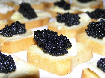 Mini Toasts - toast point caviar toast
